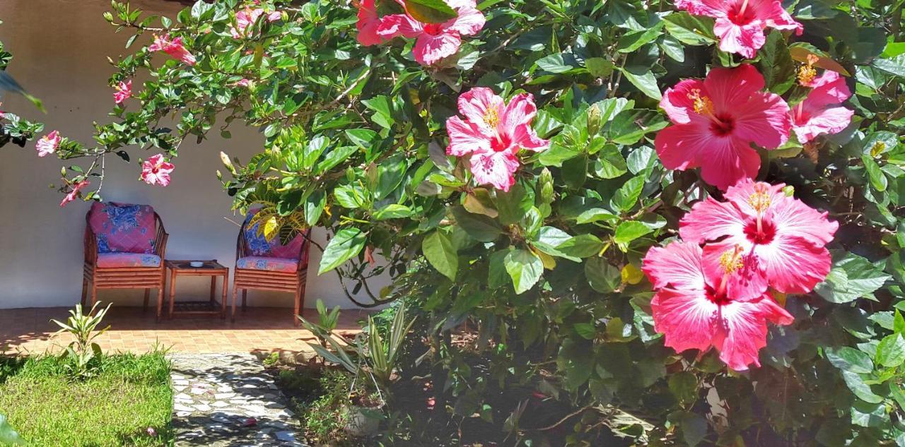 Vida Tropical Bed and Breakfast Alajuela Exterior foto